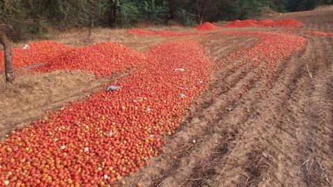 Why McDonald's dropped tomatoes from Indian menus