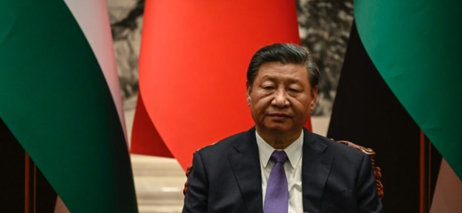 Xi says Russia and China should ‘lead global governance reform’