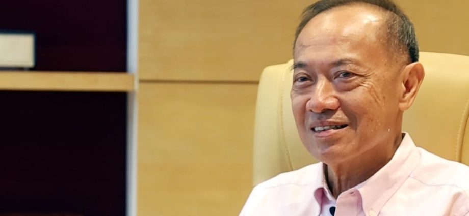 Approached to run for President in 2011, former minister George Yeo offered himself as 'emergency spare tyre'