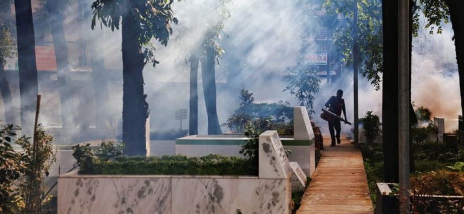 Bangladesh grapples with record deadly outbreak of dengue fever
