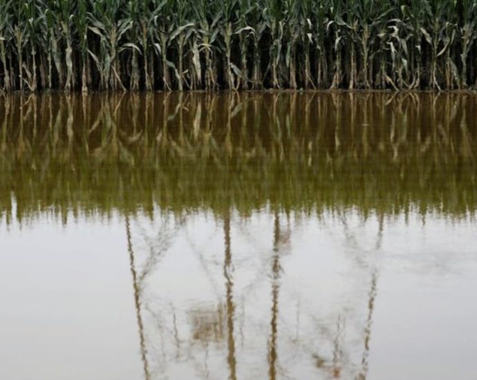 China floods hit rice, corn crops; trigger food inflation worries