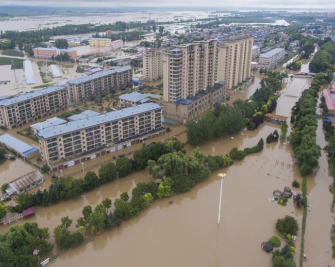 China must act to prevent epidemics in flood-hit Heilongjiang: Vice premier Liu