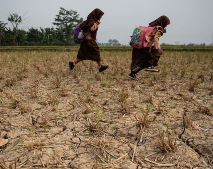 Desperate for a drink: Indonesian villagers dig up dry river bed in drought