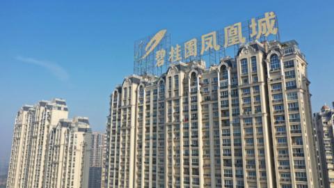 Evergrande: China property giant files for bankruptcy in US