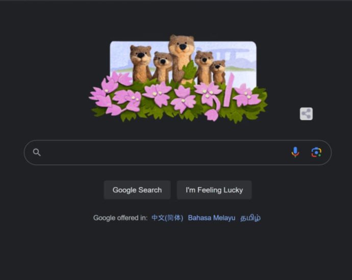 Google celebrates Singapore’s Bishan otter family with their own Google Doodle