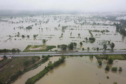 Heavy rains drench North's rice fields