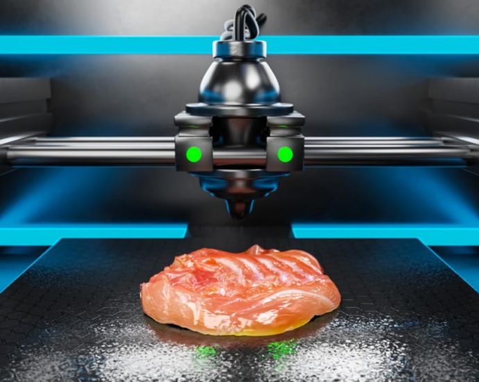 Here's why you could be eating 3D-printed meat and less rice by 2040, according to food futurists