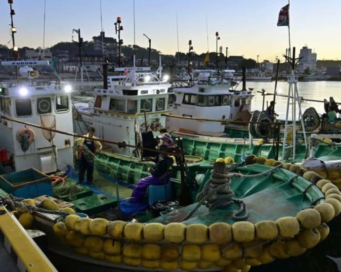 Japan says no radioactivity found in Fukushima fish: Report