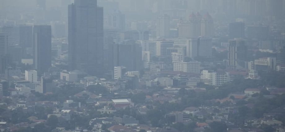 Jokowi calls for air pollution measures in Jakarta as locals complain of respiratory issues