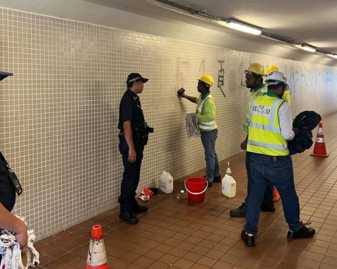 Man arrested after underpass and building in Buona Vista vandalised