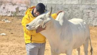 Monu Manesar: The wanted Indian cow vigilante who’s at large online