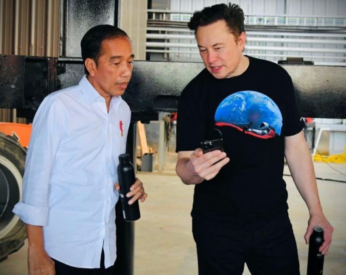 Musk still mulling massive Tesla plant for Indonesia