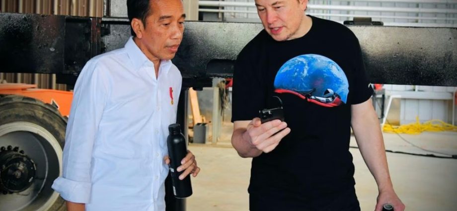 Musk still mulling massive Tesla plant for Indonesia
