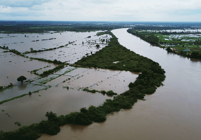 Nakhon Phanom paddy fields flooded as Mekong River overflows