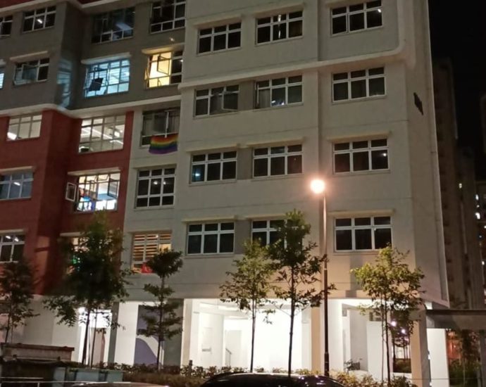 Not illegal to hang LGBTQ pride flag in public, including outside HDB windows, say lawyers