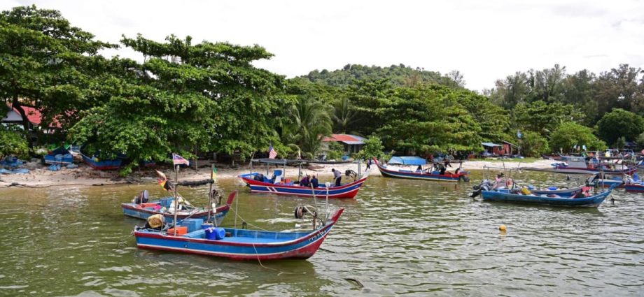 Penang fishermenâs livelihoods, identity politics among concerns as state election looms