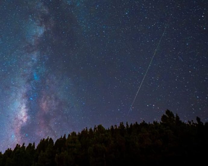 Perseids meteor shower over Singapore: What is it and when to catch it