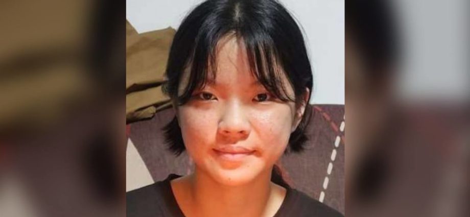 Police appeal for information on 13-year-old girl missing since Aug 2