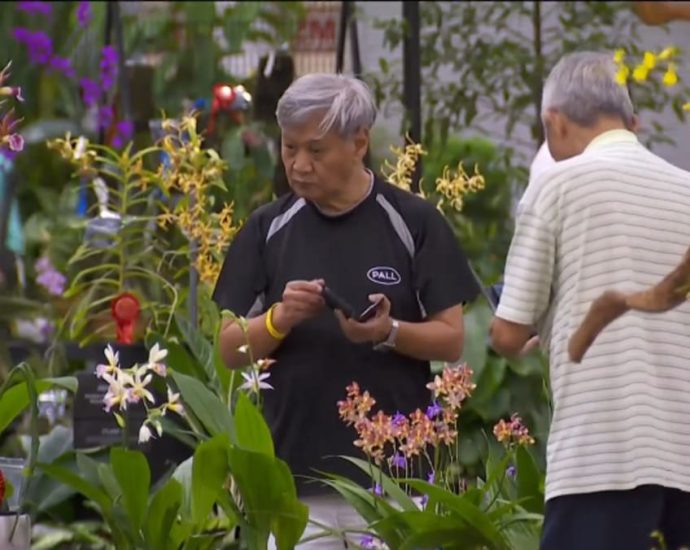 Singapore wins big at orchid conference, but local growers lament challenging conditions to cultivate hybrids