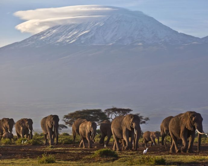 Singaporean climber dies during climbing exhibition to Mount Kilimanjaro