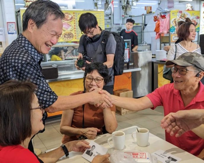 Tan Kin Lian says he will channel public feedback if elected President