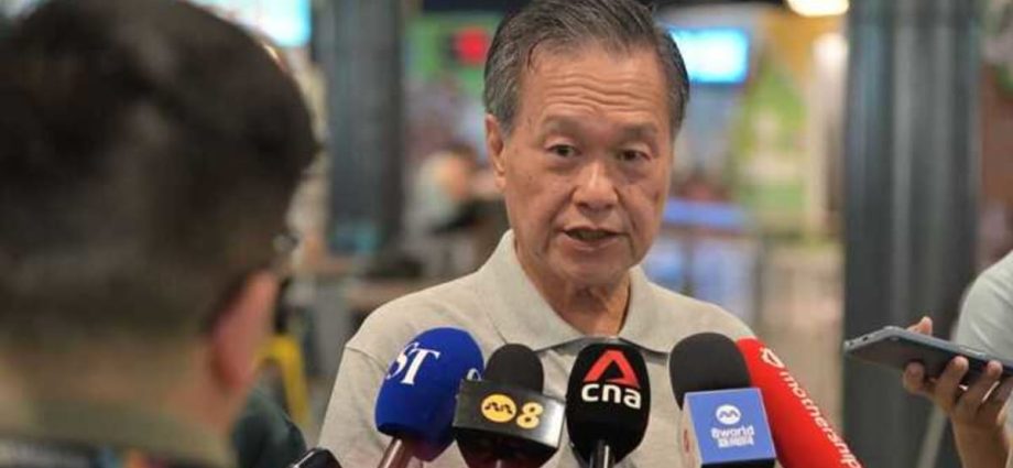 Tan Kin Lian takes issue with edits to broadcast speech; IMDA, ELD cite âinaccuraciesâ on President's role