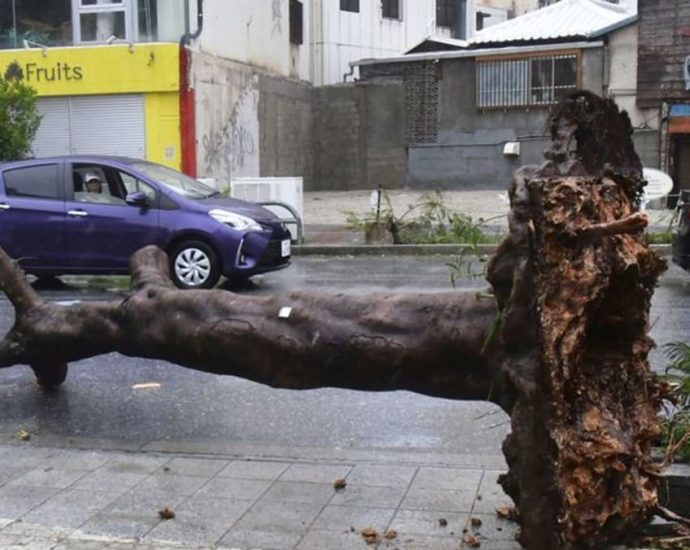 Typhoon Khanun cuts power to 166,000 homes in Japan, shuts businesses in Taiwan