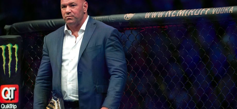 UFC president Dana White does not expect punishment for domestic violence incident | CNN