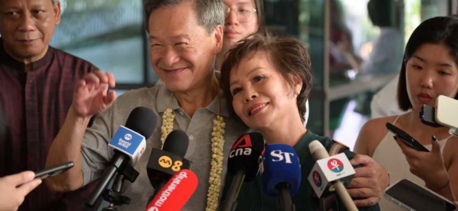 Voters would 'prefer a chance to have' Singapore-born President and spouse, claims Tan Kin Lian
