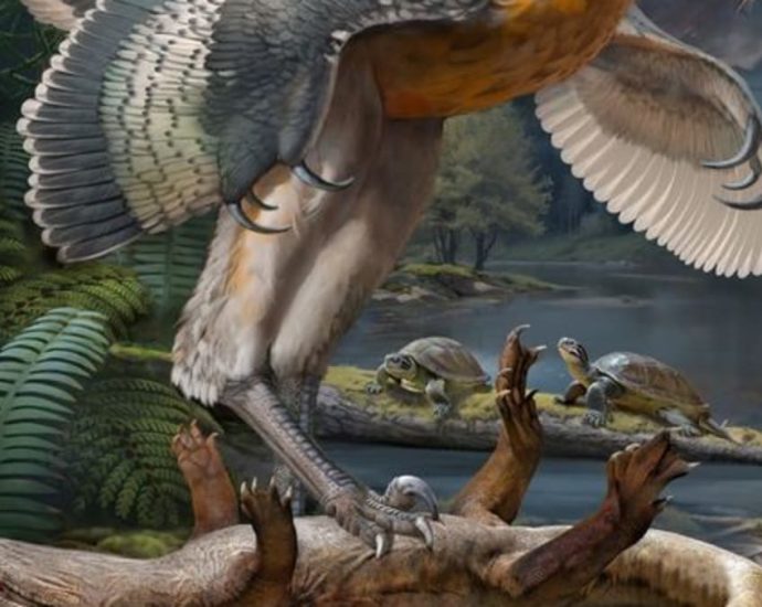 ‘Bizarre’ long-legged bird-like dinosaur has scientists enthralled