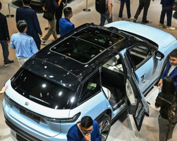 China says EU car subsidy probe will have 'negative impact'