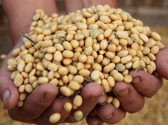 Climate change withering Chinaâs food security