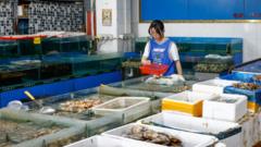 Fukushima: China's seafood imports from Japan down 67% in August