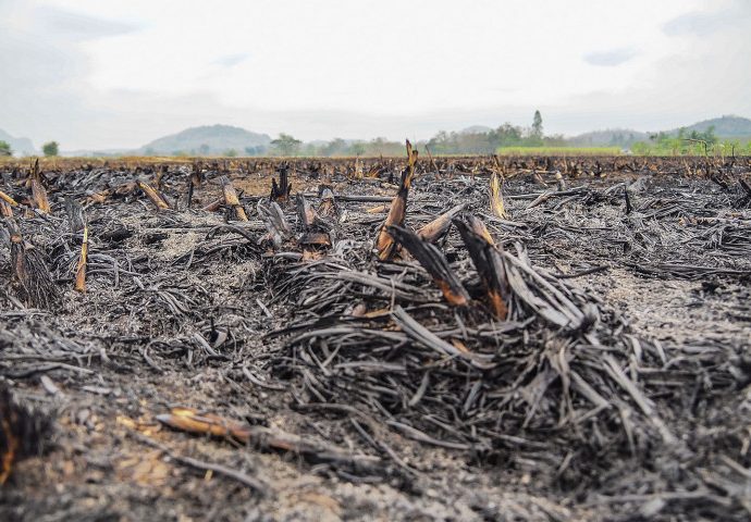 Government mulls ways to stop field burning