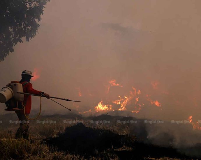 Govt urged to ban stubble burning