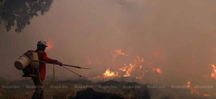 Govt urged to ban stubble burning
