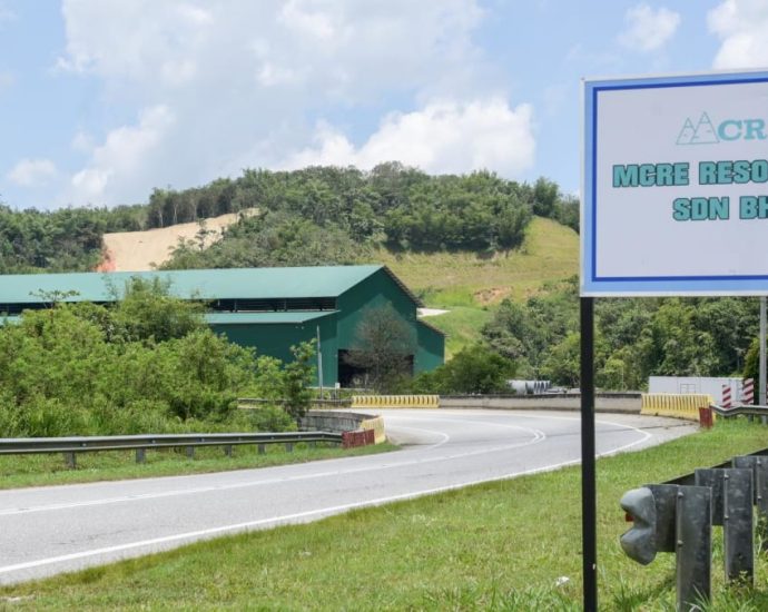 ‘High-growth, high-value’: Malaysiaâs rare earths industry getting a push, but splitting public opinion too