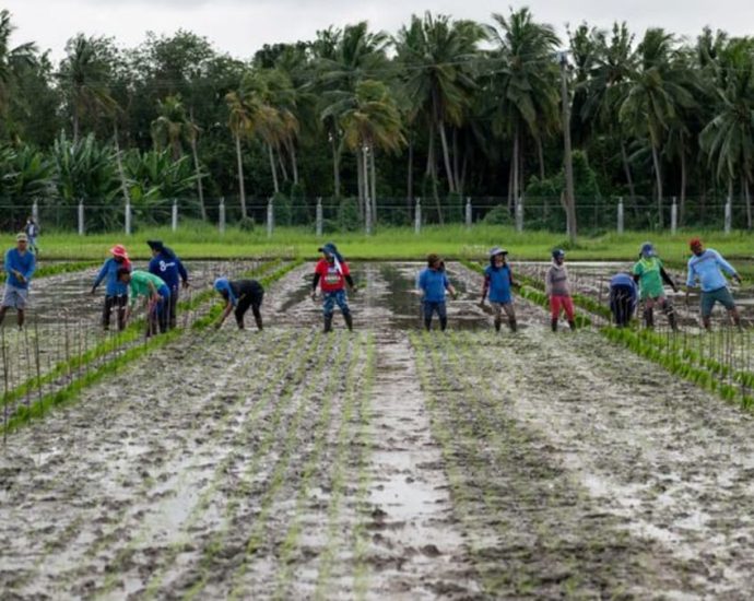 Indonesia reports massive rise in rice imports to replenish stockpiles