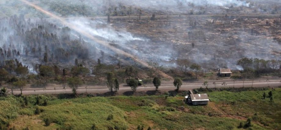 Less than half of respondents in Southeast Asia believe climate change poses âserious threatâ to region: Survey