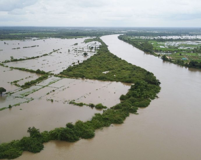 Mekong level falling, flooded crops draining