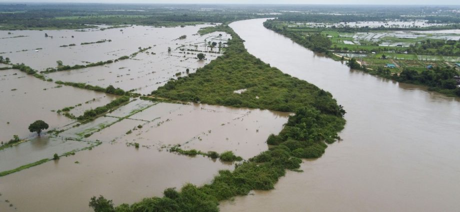 Mekong level falling, flooded crops draining