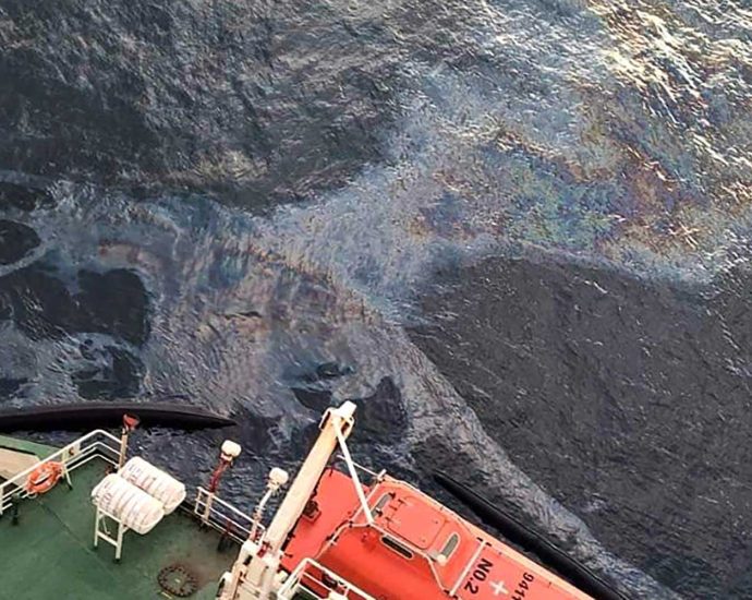 Oil spill may trigger ‘coral abortions’