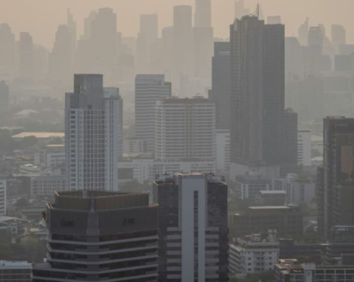 Thailand urged to halt crop burning after air pollution spike