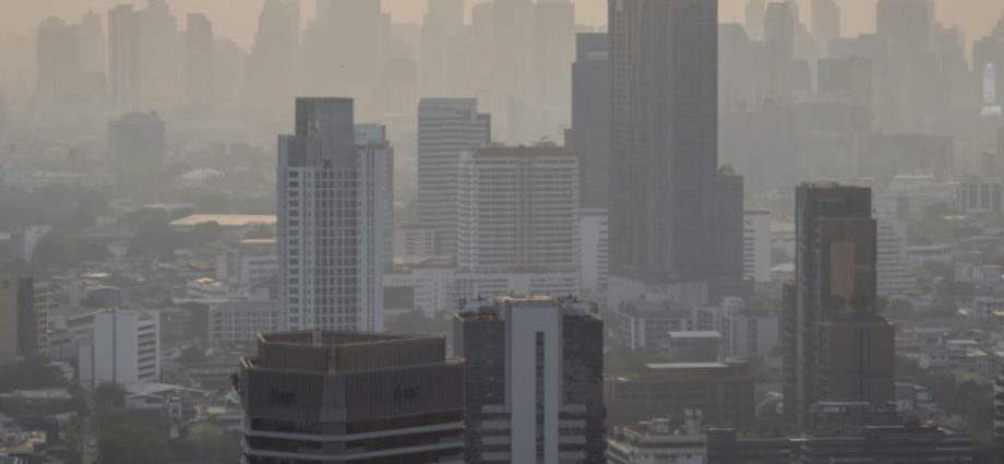 Thailand urged to halt crop burning after air pollution spike