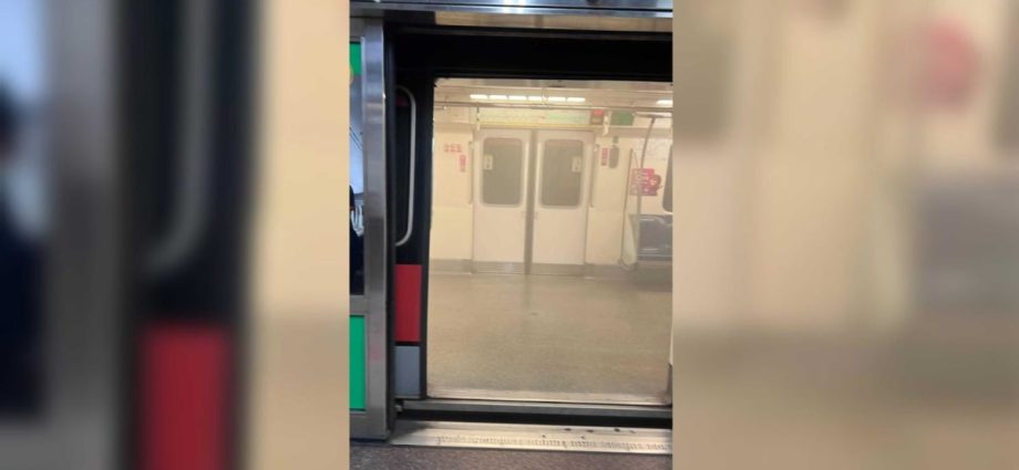 White smoke engulfs MRT train after refrigerant gas leak from air-con system