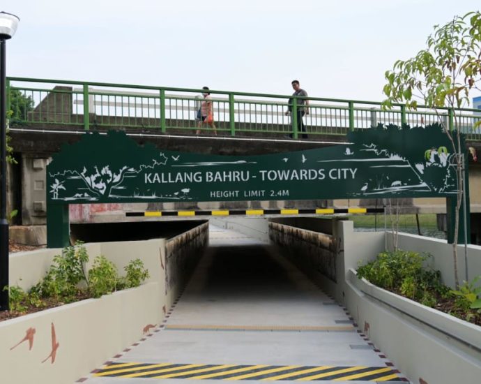 First phase of Bishan-to-City links project opens
