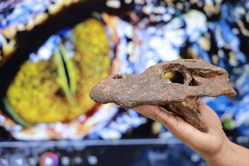 Korat fossil came from âancient alligatorâ