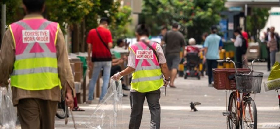 More people caught littering in Singapore last year, over 20,000 tickets issued: NEA report