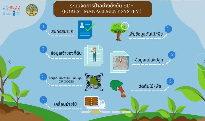 New eTree platform to help timber farmers