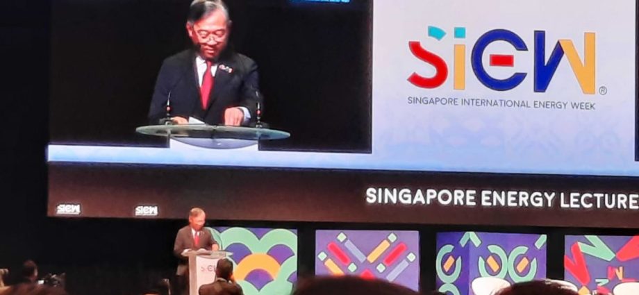 No decision on use of nuclear energy yet, Singapore to keep options open